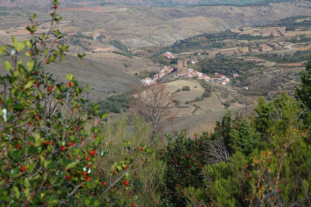 Vivienda Turistica Los Mesones Агреда Экстерьер фото